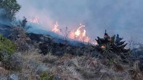 Fallece un adulto mayor que combatía un incendio forestal activo en Mizque