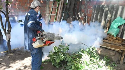 Santa Cruz se prepara para combatir el chikungunya tras confirmarse primer caso