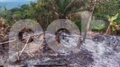  Incendio por quema de chaco destruye más de 100 plantines de cacao en Sapecho; UGR inicia inspección