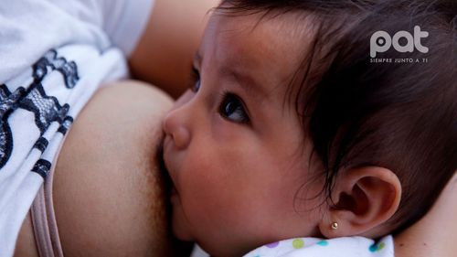 Semana Mundial de la Lactancia Materna: una práctica vital para la salud del bebé y la madre