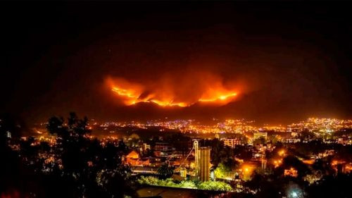 Incendios: abrieron 58 procesos administrativos y 7 penales