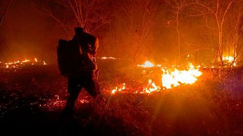 Incendios: Tribunal Agroambiental fija audiencia para el 29 de agosto y dispone notificación a Luis Arce