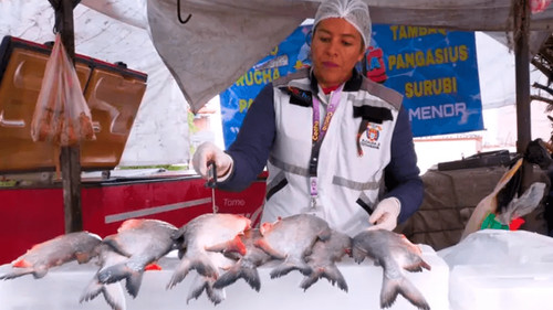 Controles por Semana Santa: cómo identificar pescado fresco en Cochabamba