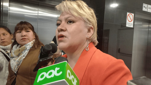 Piden destitución del ministro de Hidrocarburos por crisis de combustible