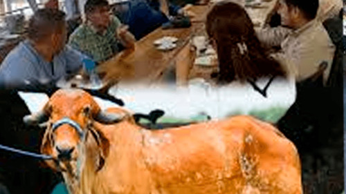 Agropecruz 2026 inicia con impulso productivo y vitrina genética bovina en Fexpocruz