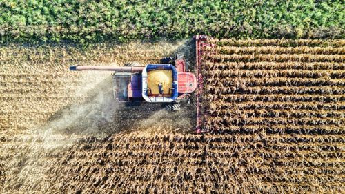 Productores bloquean San Pablo por falta de diésel y alertan riesgo para la siembra