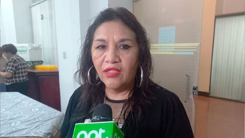 Diputada cuestiona crear comisión legislativa para investigar accidente aéreo en El Alto