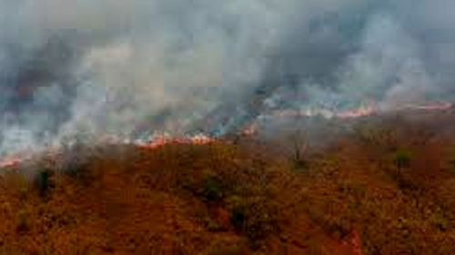 Aumentan los incendios en Santa  Cruz: el departamento registra 19  fuegos activos