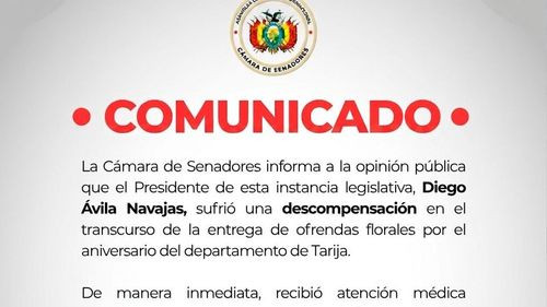 Presidente del Senado, Diego Ávila, sufre descompensación durante actos protocolares en Tarija
