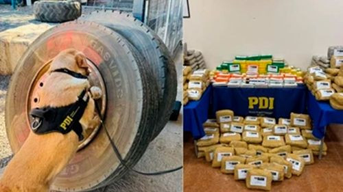 Caen cinco bolivianos en Chile por  traficar 370 kilos de droga ocultos  en un camión