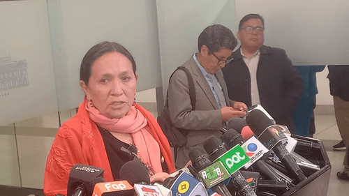 Senadora Tomasa Yarhui repudia actos vandálicos y saqueos registrados en la zona de Río Seco