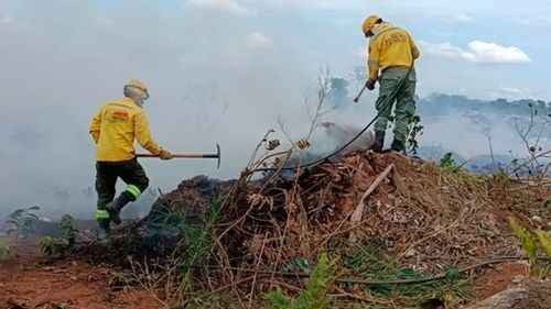 Seis incendios forestales siguen activos en Santa Cruz pese a las lluvias Seis incendios forestales siguen activos en Santa Cruz pese a las lluvias