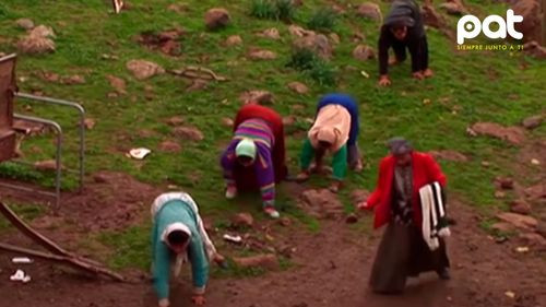 El misterio de la familia que camina en cuatro patas y desafía la evolución