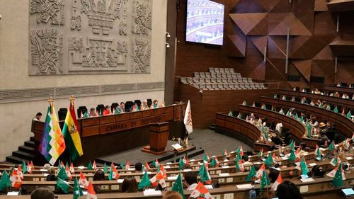 Libre bloquea ley subnacional y genera tensión en Diputados