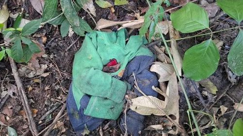 Hallan tres cuerpos dentro de bolsas de yute en el trópico de Cochabamba