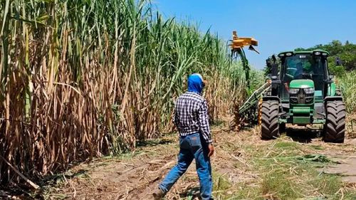 Cañeros reportan alza en costos de transporte por falta de diésel y advierten retraso en la zafra