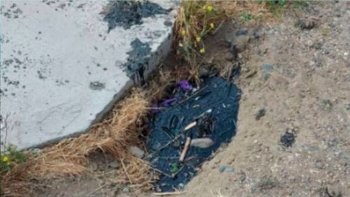 Increíble hallazgo: petróleo  brota en el patio de una casa