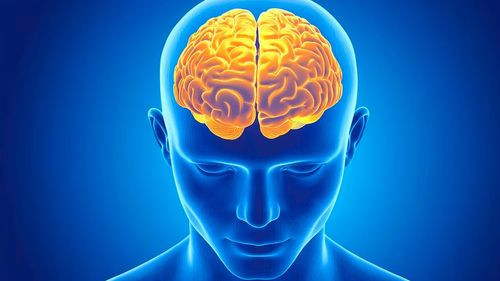 El Magnesio: Un mineral esencial para la salud física y mental 