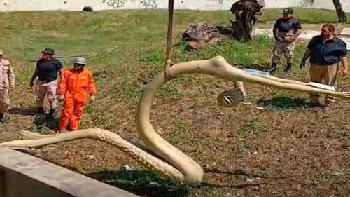 Alcaldía cruceña avanza en la recuperación del Parque El Arenal