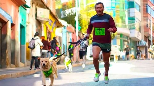 Perrotón 2025 reunirá a cientos de personas por los albergues de animales en La Pa