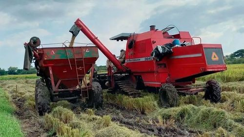Gobierno anuncia agenda de apoyo al sector productivo