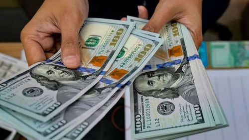 Gobierno establece un régimen cambiario flexible