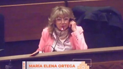 Diputada de CC pide celulares nuevos  antes de dejar el mandato y genera  polémica en la Cámara