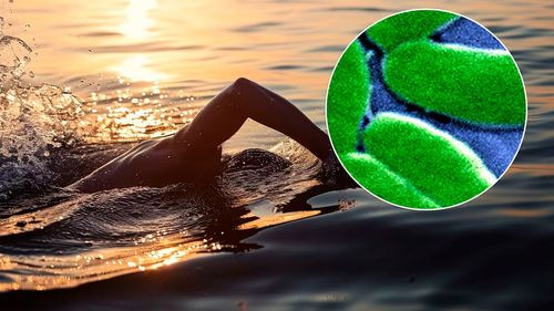 Bacterias peligrosas alertan en aguas cálidas de Estados Unidos