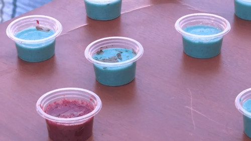 Detienen a sujeto que vendía mousse con marihuana por redes sociales en Cochabamba