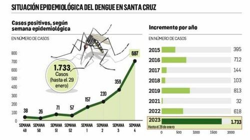 Santa Cruz supera los mil casos de chikunguña en enero y entra en fase de alta transmisión