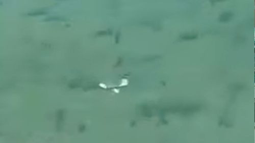 Hallan restos de avioneta desaparecida tras choque aéreo en el Beni