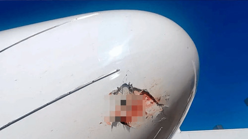 BoA reporta que vuelos se demoraron por colisión de aves y condiciones climáticas