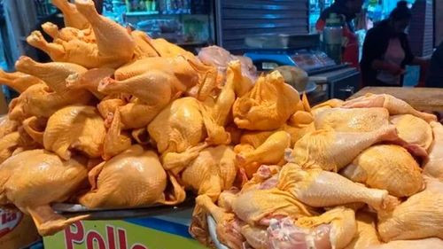Precio del pollo sube en Cochabamba debido a bloqueos y escasez de combustible