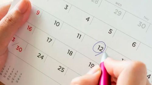 Calendario 2026 tendrá 11 feriados nacionales y varios fines de semana largos