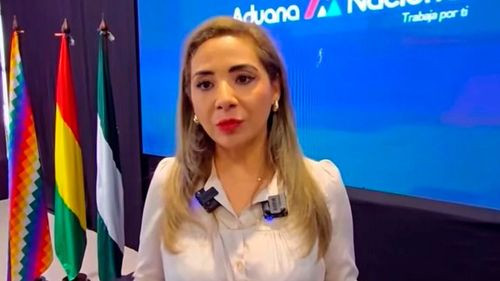 Denuncian a expresidenta de la Aduana por millonario sobreprecio