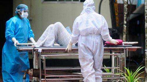 OMS mantiene riesgo “bajo”, pero vigila brote de virus Nipah en India y Asia