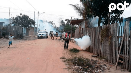 Pando reporta 277 casos de dengue y prepara alerta anitaria