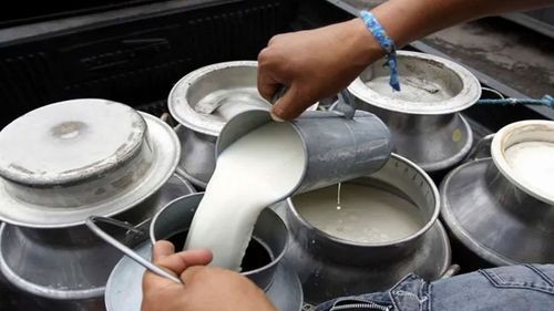 CNI pide un diálogo sobre el Fondo Proleche y la regulación de precios 