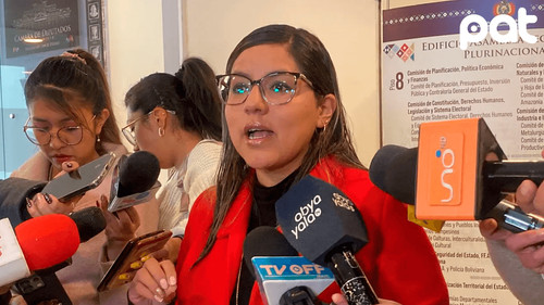 Diputada Claros denuncia cerco inhumano en Llallagua