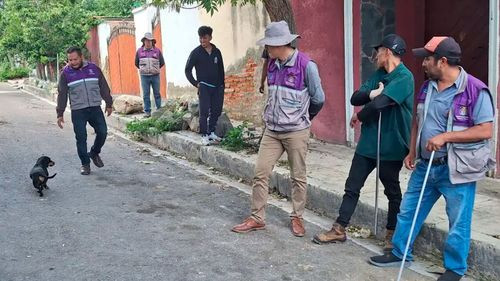 Rescatan ocho perros de un refugio clandestino en Cochabamba 