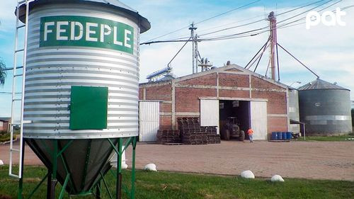 Fracasa negociación entre el Gobierno y productores lecheros por el precio del litro de leche