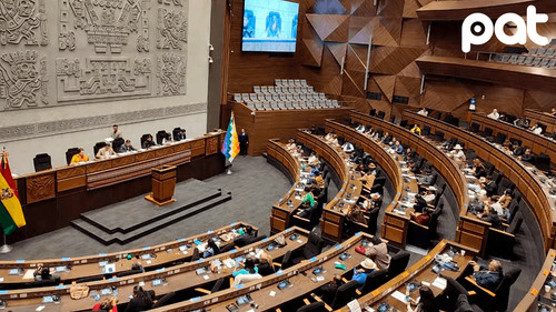 Asamblea evaluará proyecto de ley para eliminar la renta vitalicia