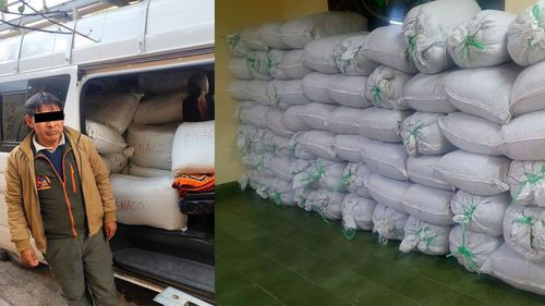 Interceptan minibús con más de 1.500 libras de hoja de coca peruana en ruta La Paz – Oruro