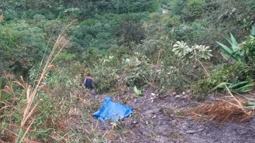 Tragedia en los Yungas: Minibús cae a un barranco y deja varios fallecidos  