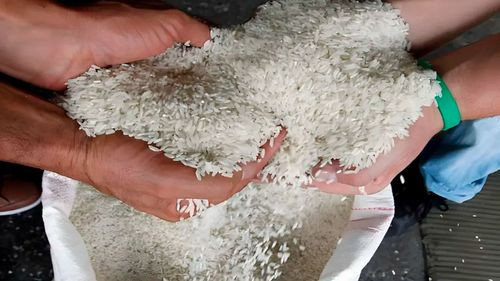 Productores ven inviable importar arroz por falta de dólares y problemas logísticos