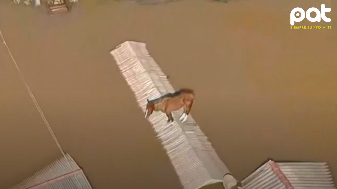 Inundaciones en Brasil.jpg