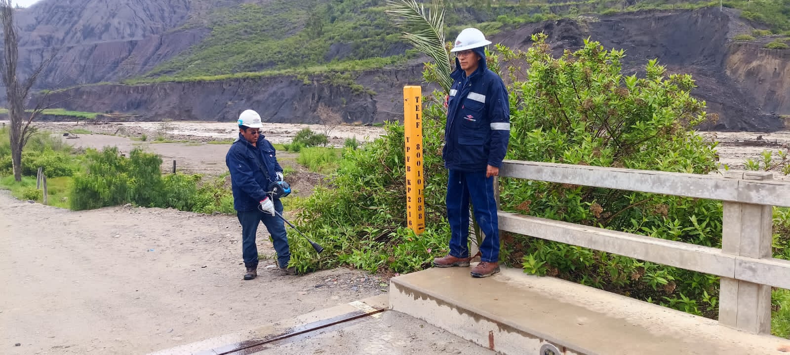 WhatsApp Image 2024-02-20 at 17.41.07 (1).jpeg