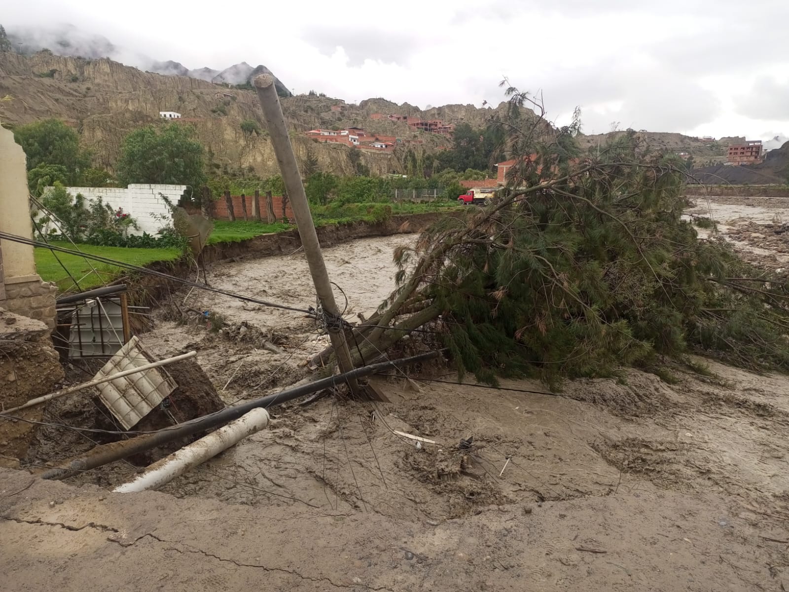 WhatsApp Image 2024-02-20 at 17.41.08 (1).jpeg